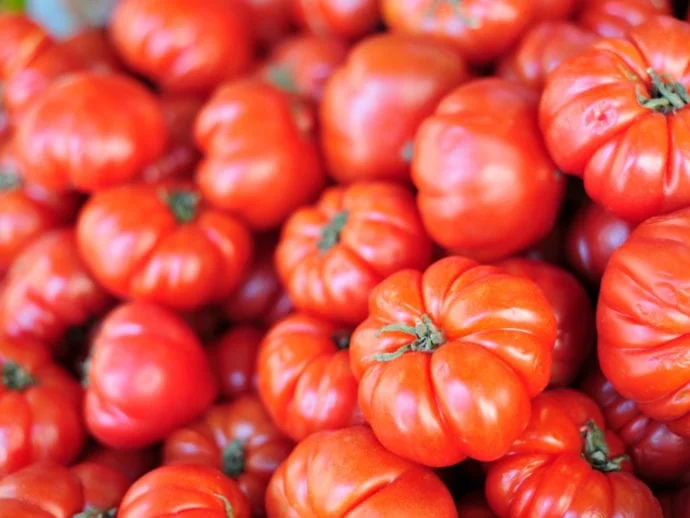 Beefsteak Tomato