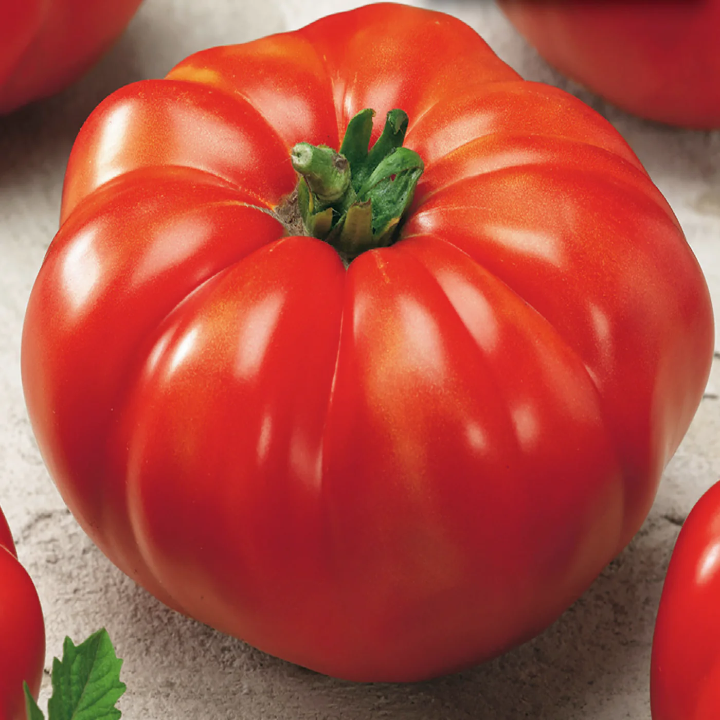 Giant Tomato