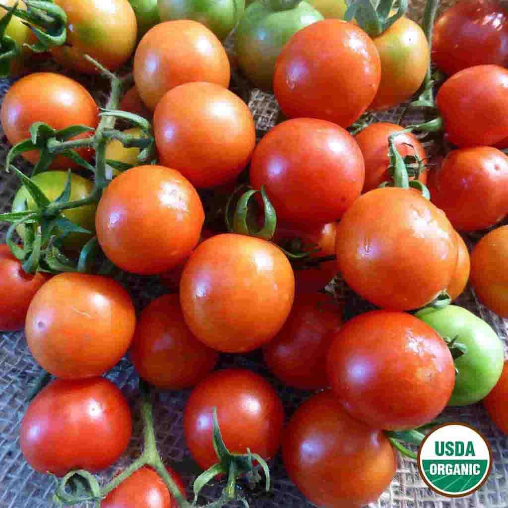 Sweeties Tomato